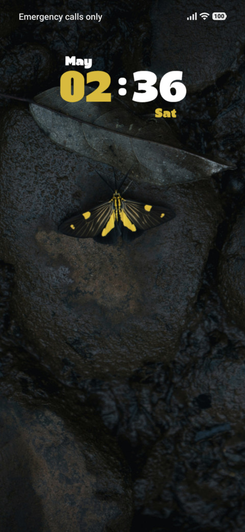 Butterfly preview