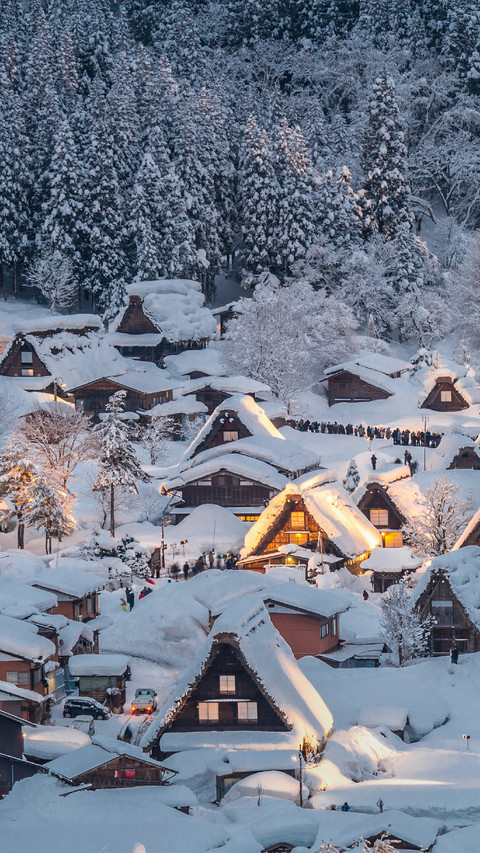 Beautiful Village in Snow preview