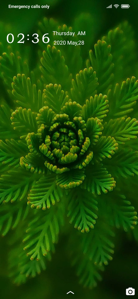 Simple green preview