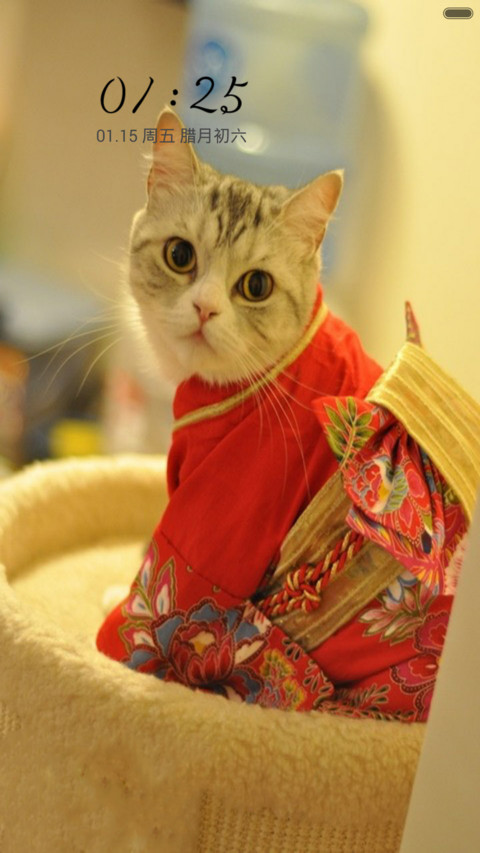 萌得嘶猫 preview