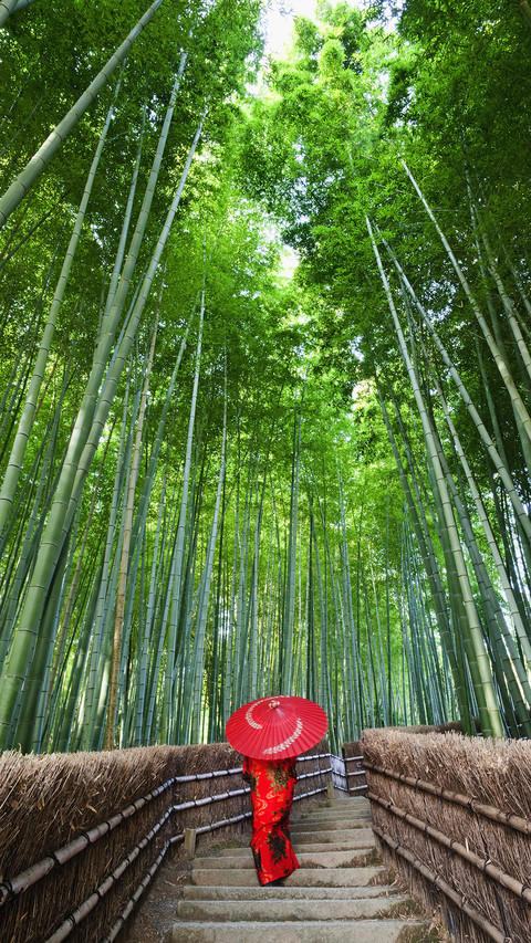 世外仙境京都岚山 preview