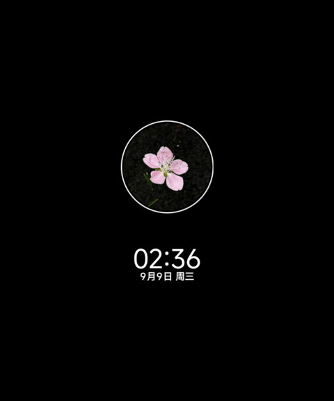 晚序秋意碎片 preview