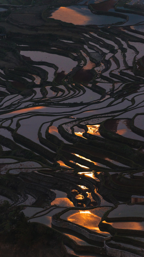 Yuanyang terraced fields cloud sea morning light preview