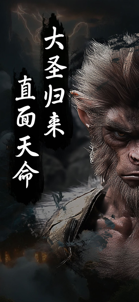 大圣归来直面天命 preview