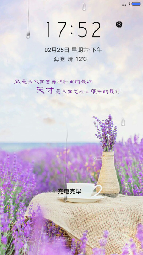 薰衣草的暗恋 preview