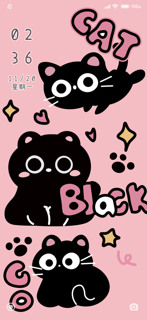顽皮可爱黑猫 preview
