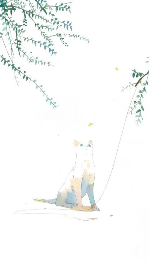 猫咪的世界 preview