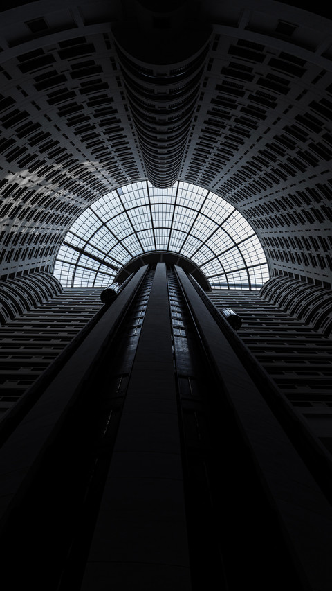 Looking up i encounter a grand blackandwhite scene preview