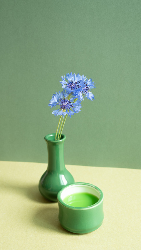 Minimalist plants preview