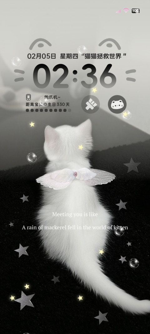 星耀元气小奶猫 preview