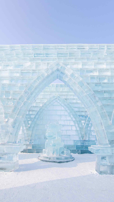 Extremely cold ice sculpture preview