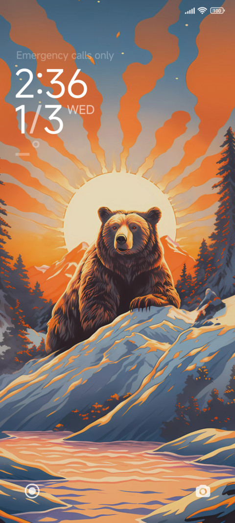 Brown bear preview