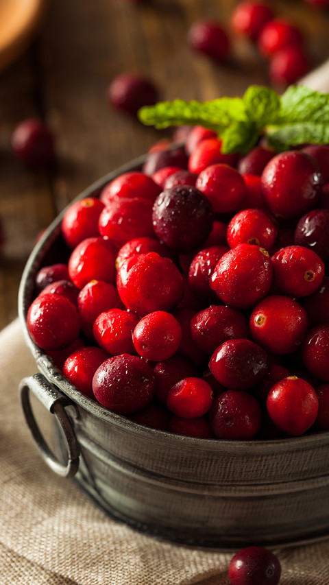 Cranberry preview
