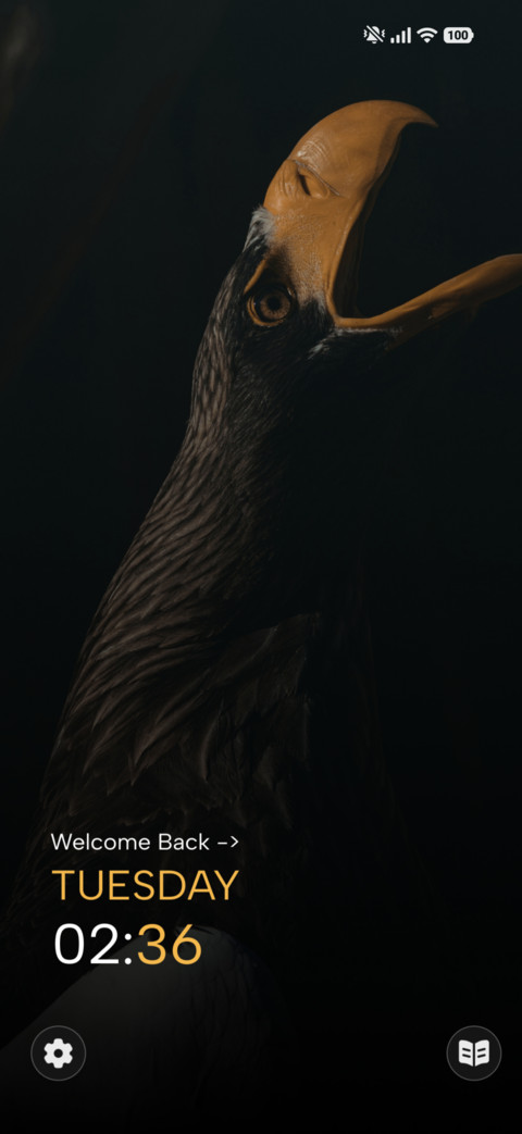 Golden Curlew preview