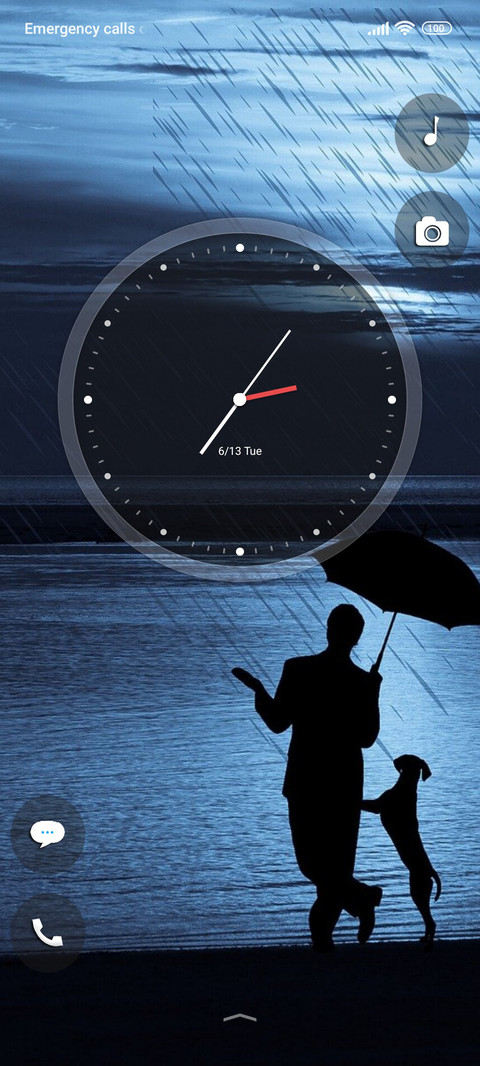 rain pet preview
