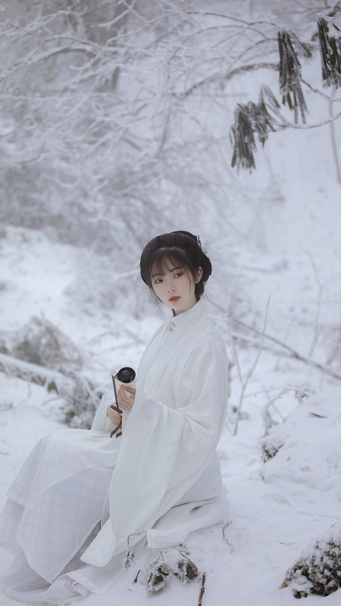 枝头薄雪尚存 preview