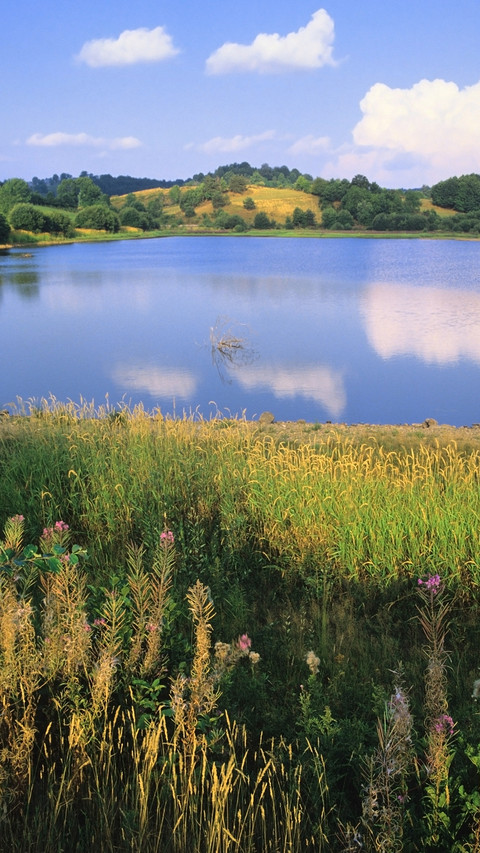international_scenery (7) preview