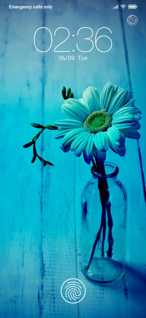 Daisy preview