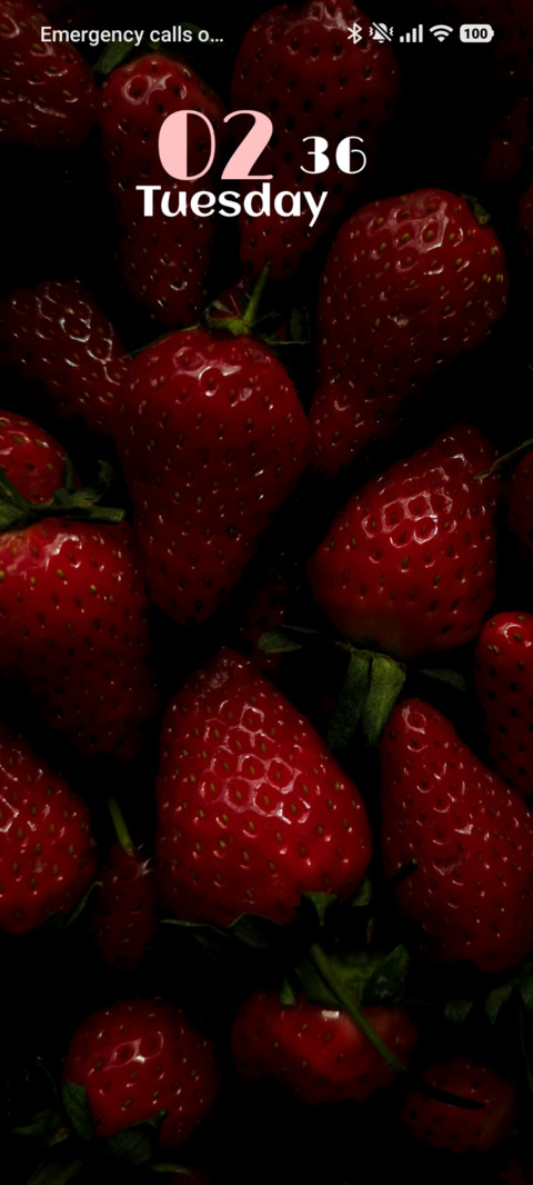 Berry Bloom preview