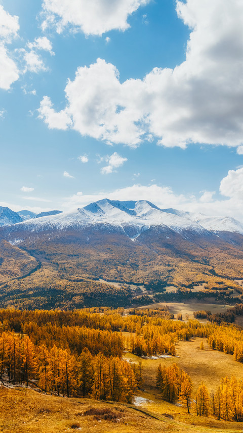 Lingering in the autumn of xinjiang preview