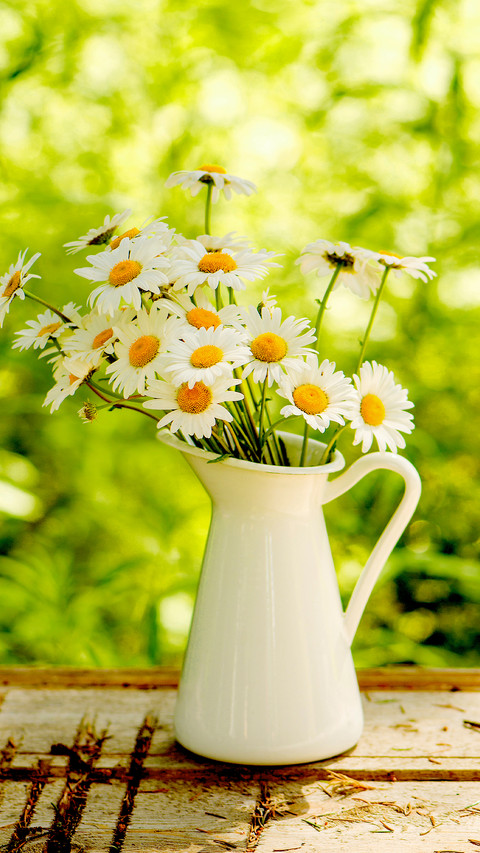 Blooming Flowers preview