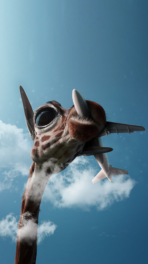 giraffe (1) preview