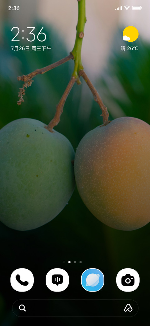Twin Mangoes preview
