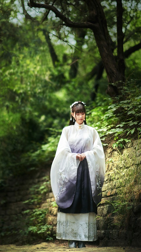 你不了解的汉服 preview