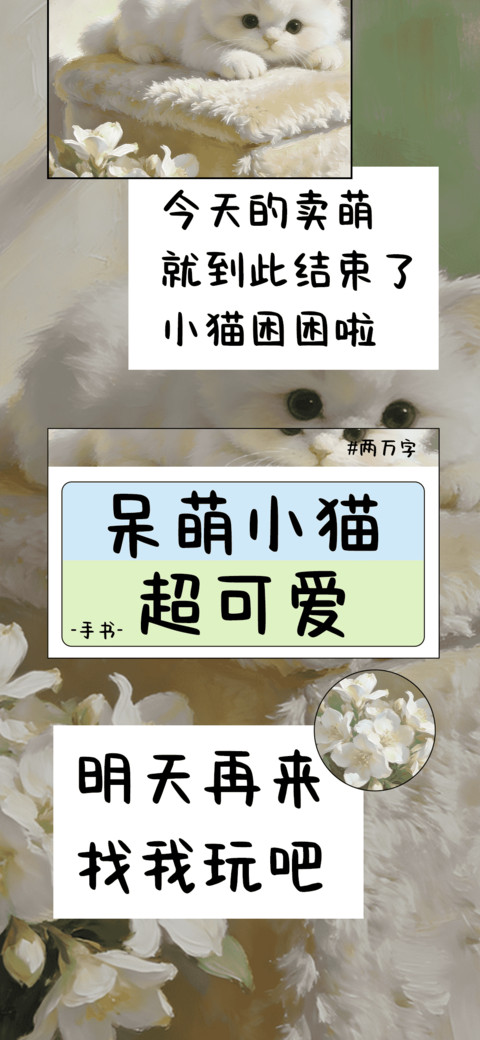 呆萌小猫超可爱 preview