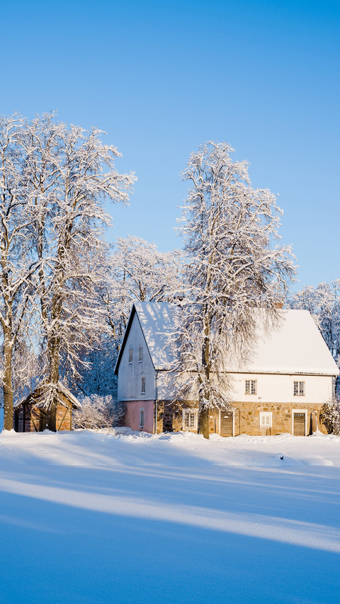 Winter wallpaper-05 preview