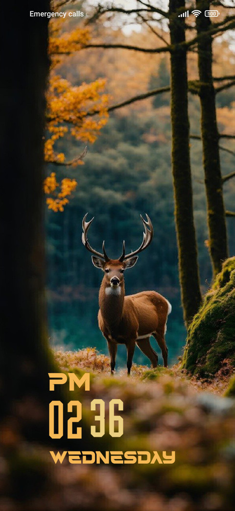 Deer preview