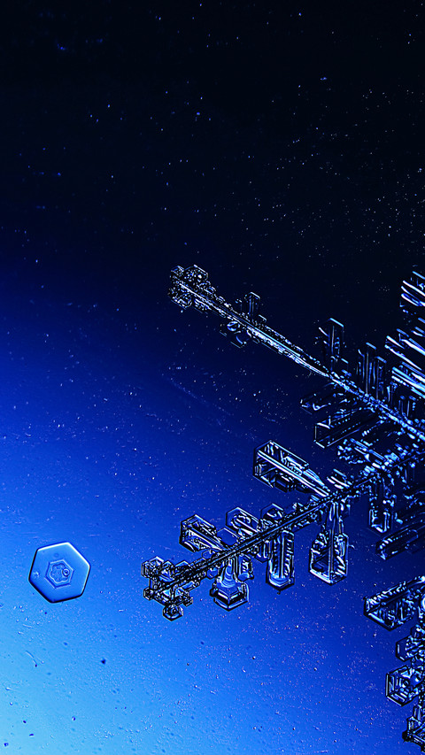 Winter illustration-04 preview