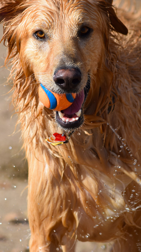 112280_1440x2560.jpg preview