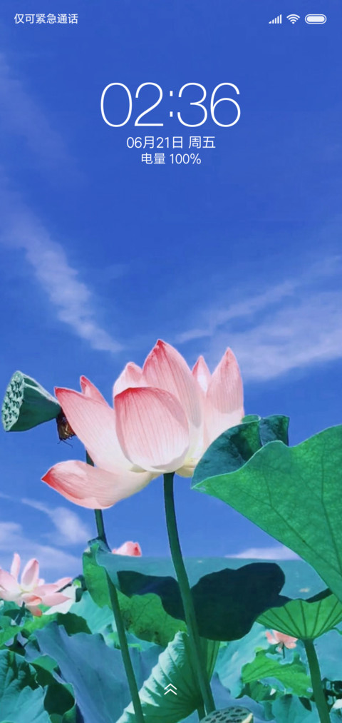 夏日 荷花 preview