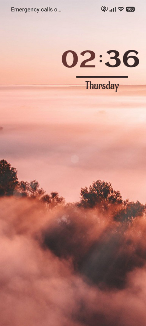 Dawn preview