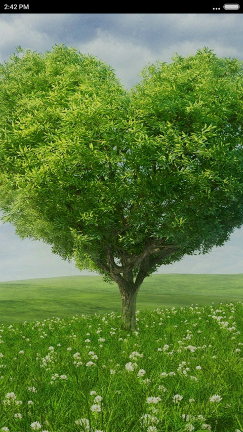  Green Mood preview