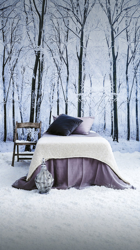 The charm of cool color home decor preview