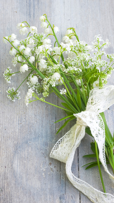 铃兰花开的季节 preview