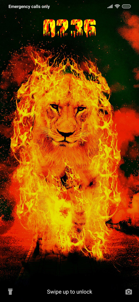 Lion King_DWM20 preview