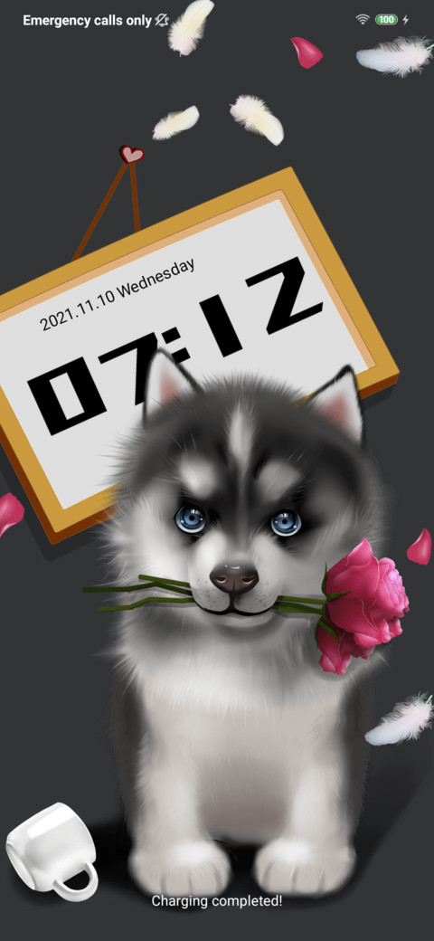 my-husky preview