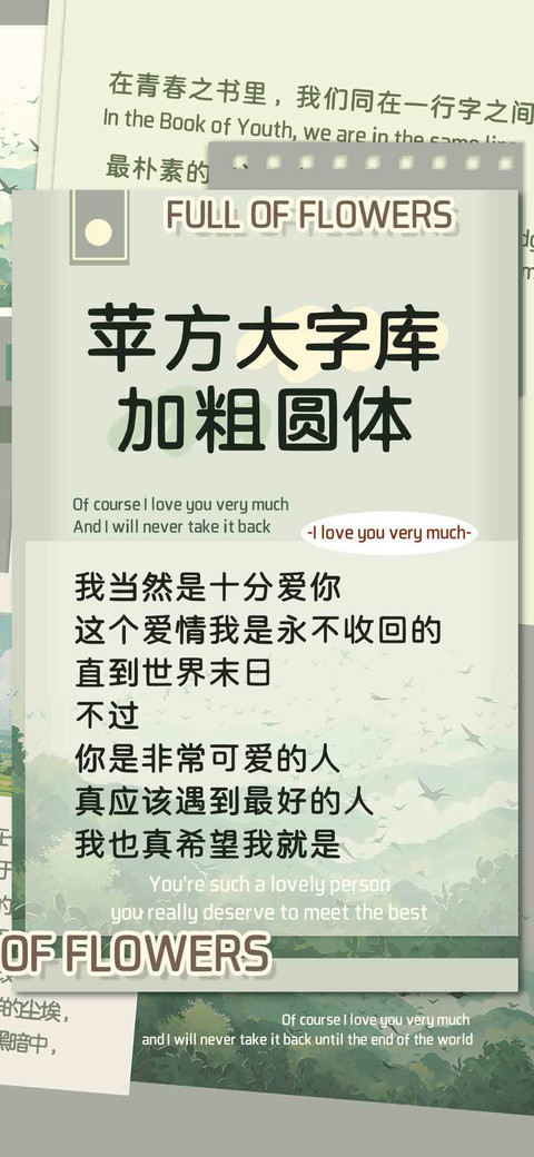 苹方大字库加粗圆体 preview