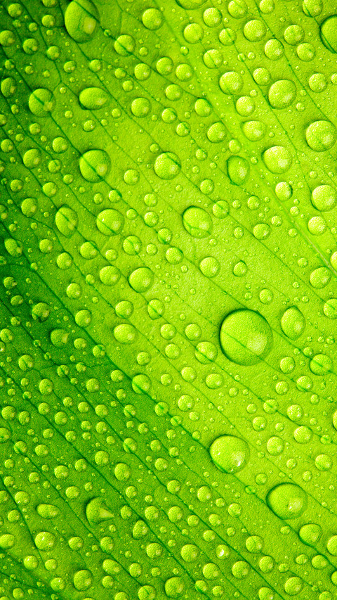Green eye protection wallpaper preview