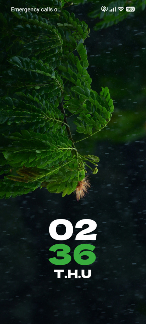 Dew Leaf preview
