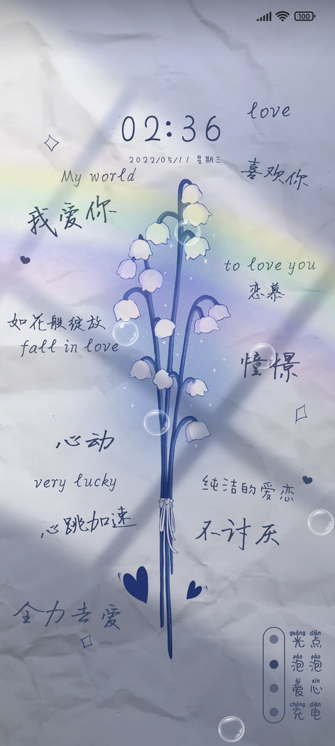 灯笼花之恋 preview