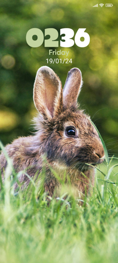 Rabbit in Grass preview