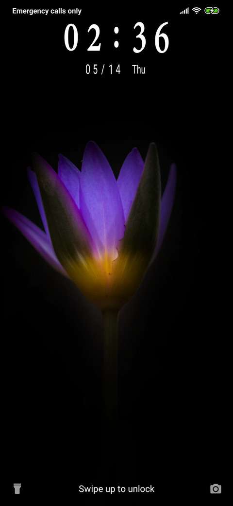 Water Lily_3MDS preview