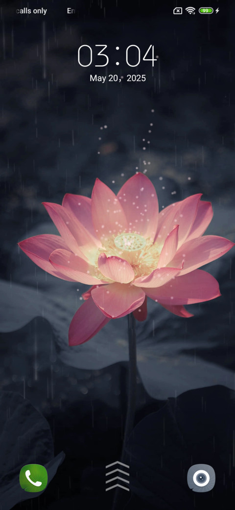 Lotus preview