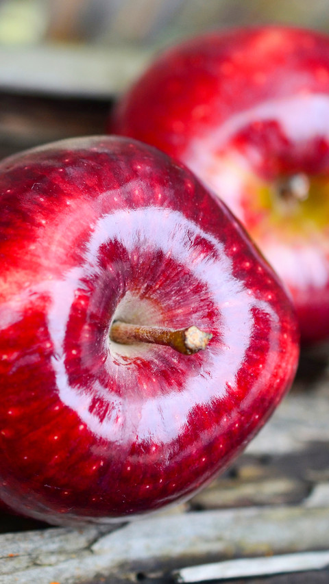 Fruit (7) preview