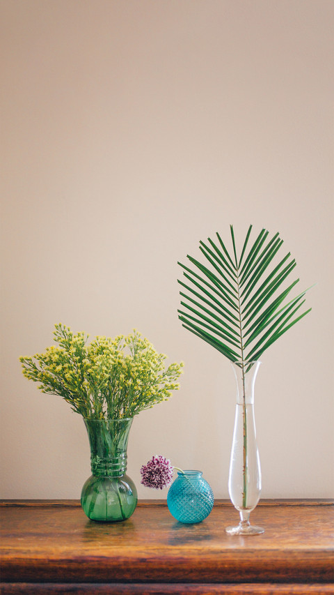Perfect for home grown plants 1 preview