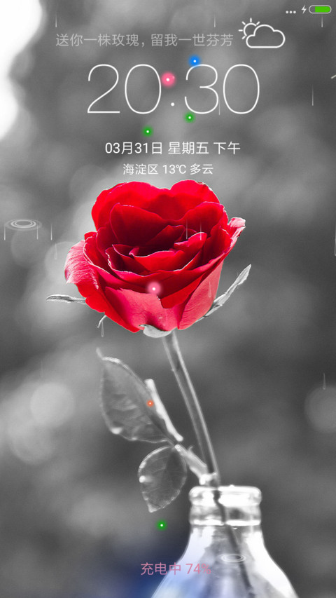 玫瑰花语 preview